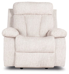 Feesler Recliner