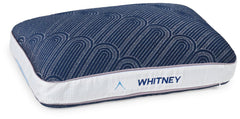 Whitney 11.5 cm Standard Pillow (4/CS)